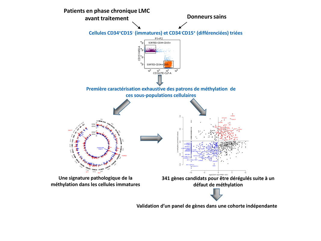 illustration Ph Arnaud