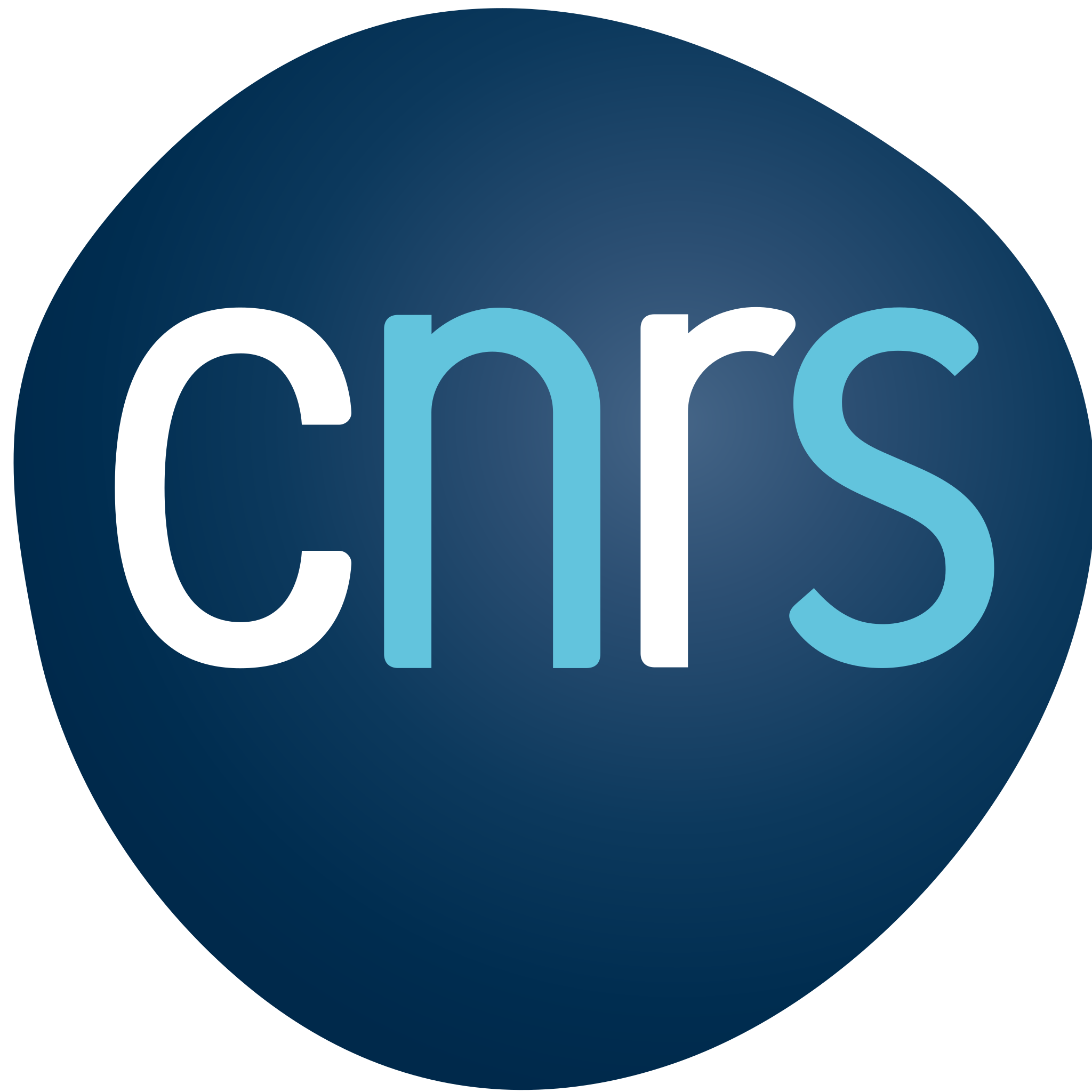 logo cnrs